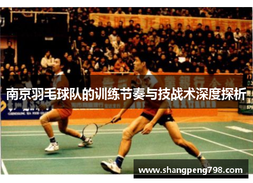 南京羽毛球队的训练节奏与技战术深度探析