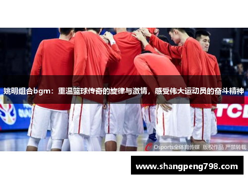 姚明组合bgm：重温篮球传奇的旋律与激情，感受伟大运动员的奋斗精神