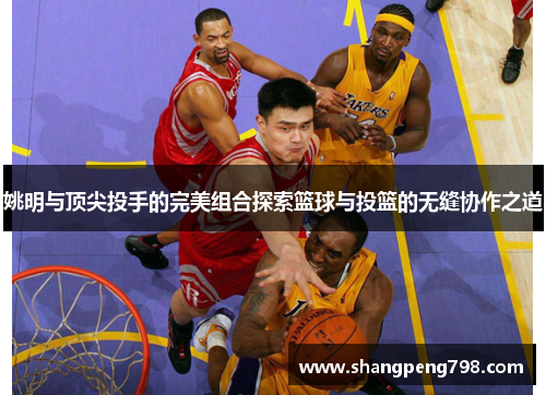 姚明与顶尖投手的完美组合探索篮球与投篮的无缝协作之道