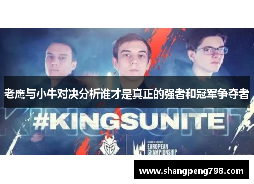 老鹰与小牛对决分析谁才是真正的强者和冠军争夺者