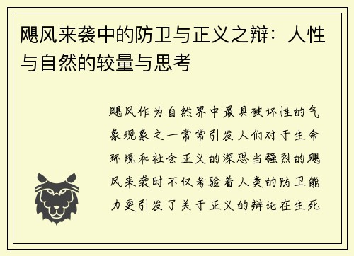 飓风来袭中的防卫与正义之辩：人性与自然的较量与思考