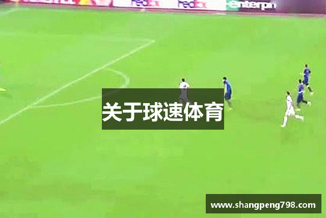 关于球速体育